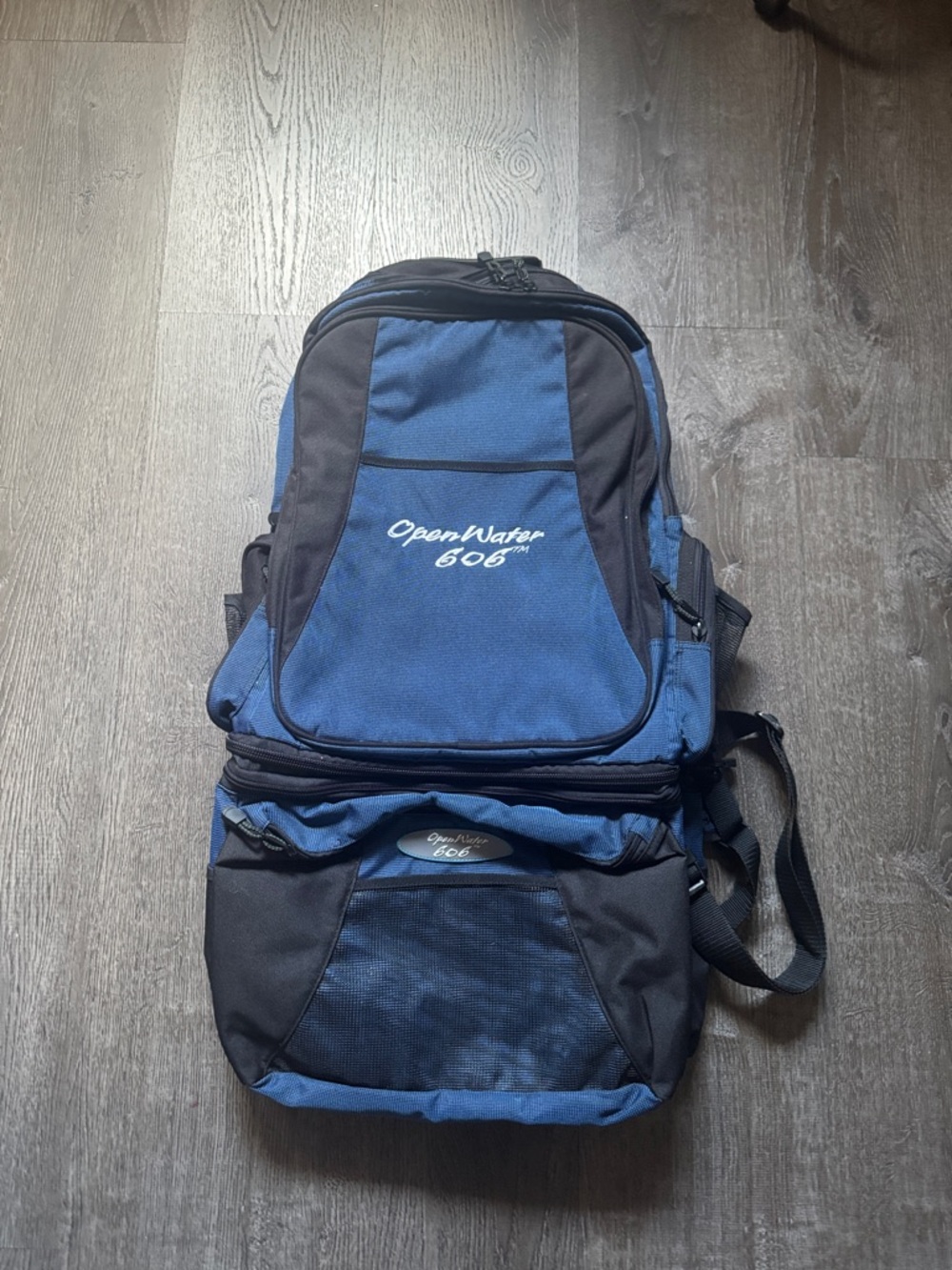 Blue & Black Men's Backpack